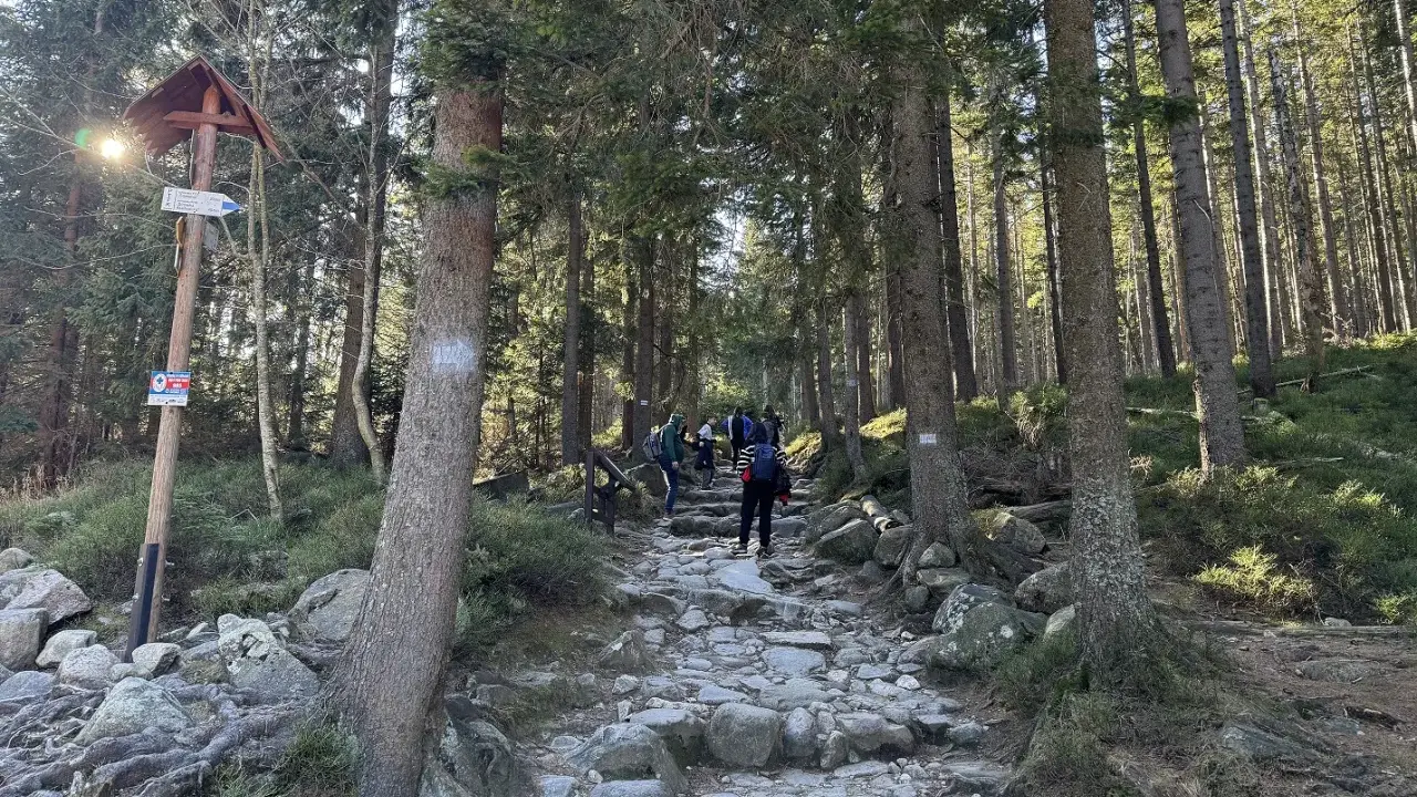 Kamienna ścieżka w lesie, turyści idą w górę. Znak wskazuje niebieski szlak na Śnieżkę.