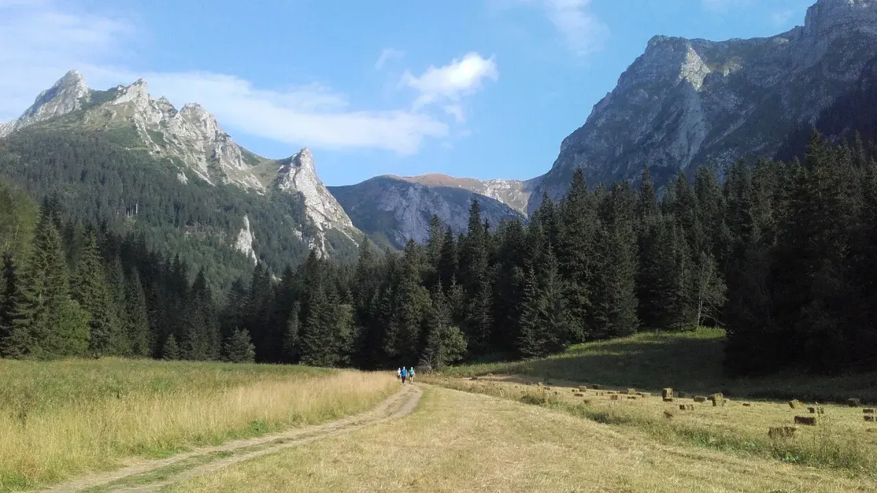 Dolina Pańszczyca w Tatrach. Dwie osoby idą ścieżką przez łąkę, otoczoną lasem świerkowym i skalistymi szczytami.