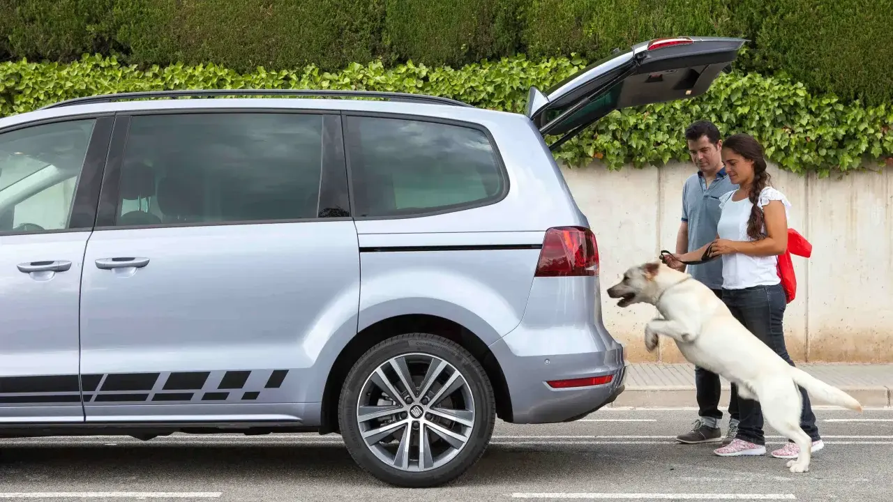 Pareja ayuda a su perro a subir al mejor coche para llevar perros, un monovolumen plateado con el maletero abierto.