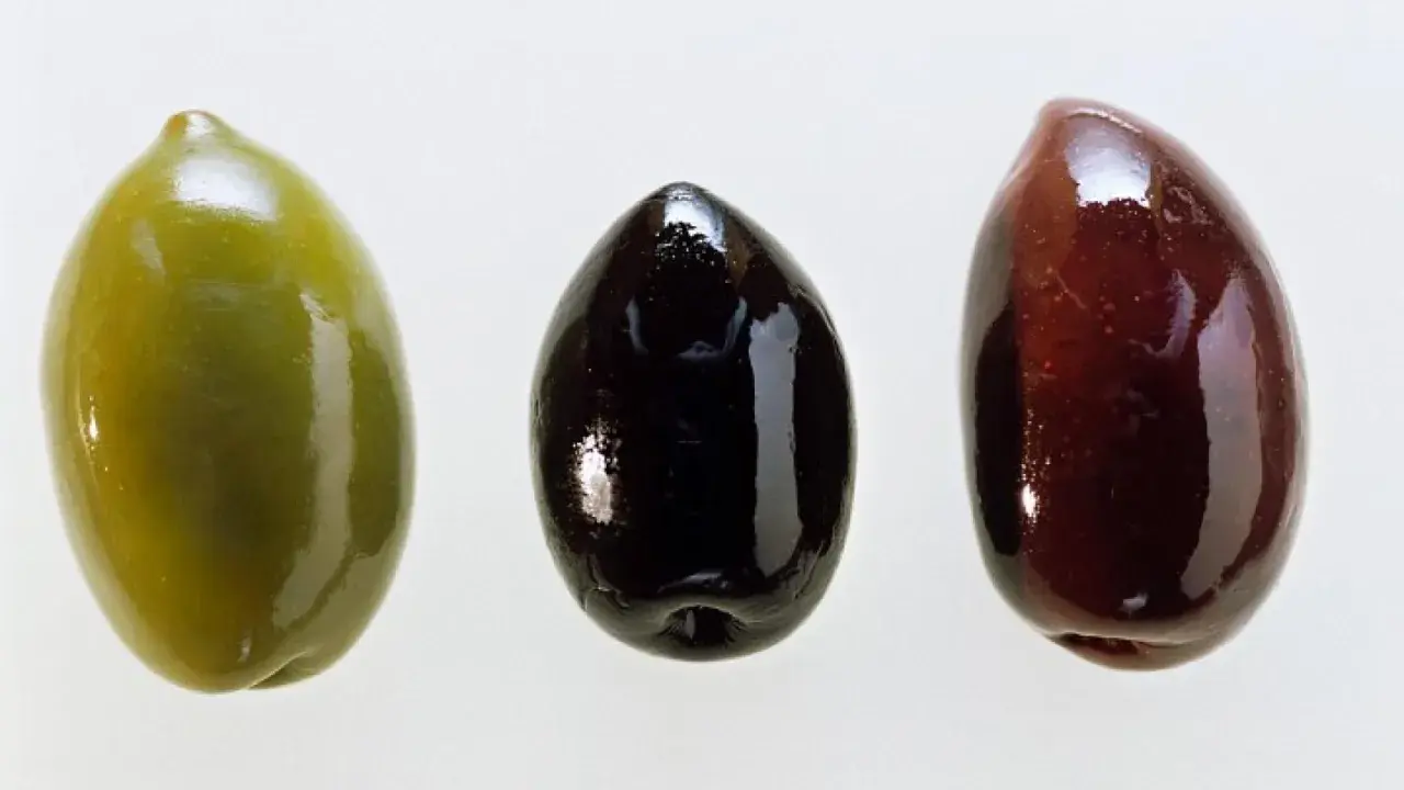 Tres aceitunas: verde, negra y morada. Cada una es una fuente de aceitunas nutrientes, esenciales para una dieta equilibrada.