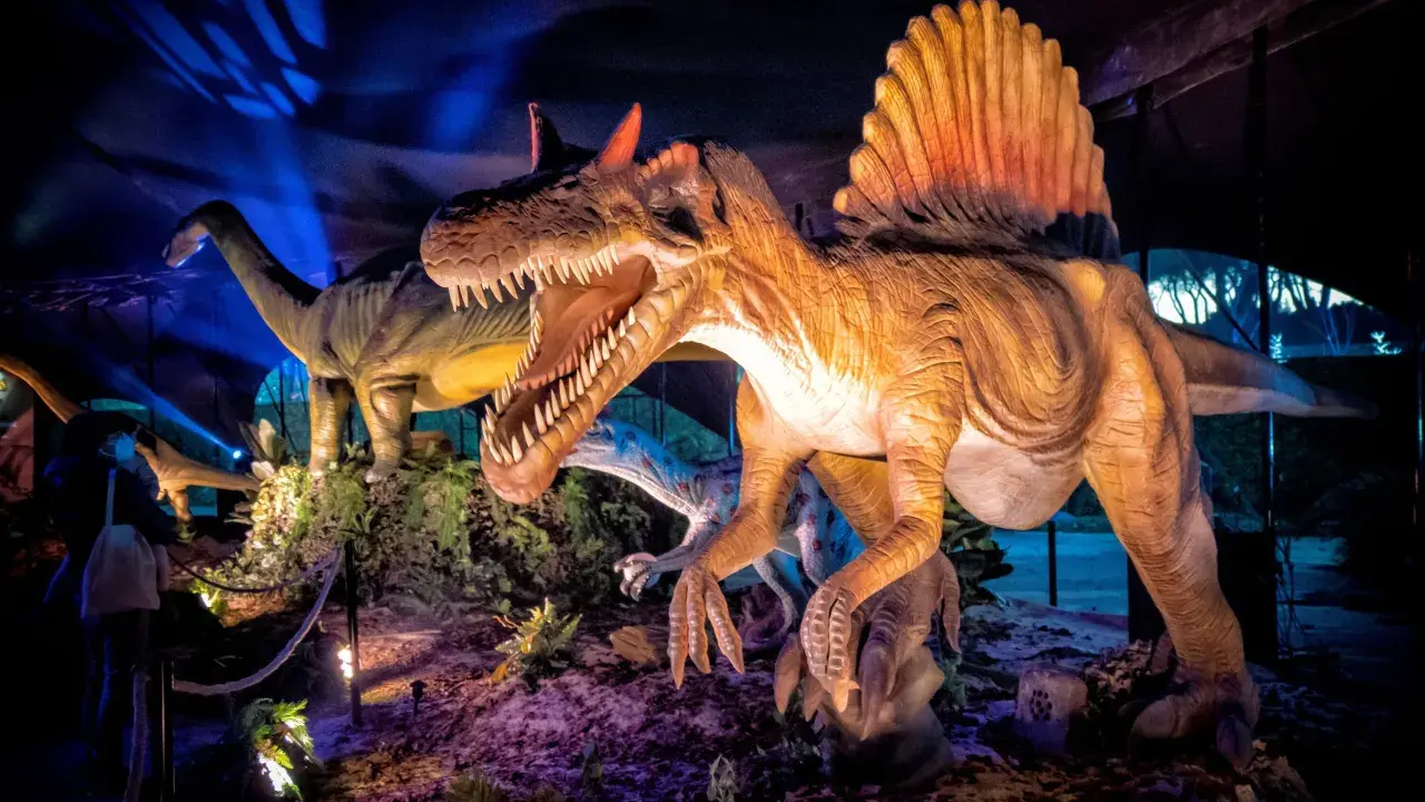 Figuras de dinosaurios realistas, incluyendo un Spinosaurus con su vela dorsal, en una exhibición nocturna en Madrid.