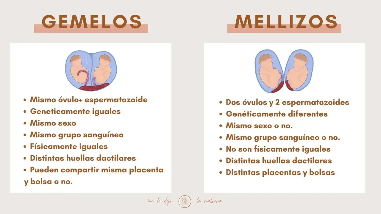 Infografía que explica la diferencia entre gemelos y mellizos, mostrando sus orígenes y características.