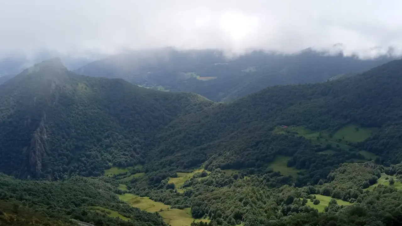 Majestuosas montañas cubiertas de bosque verde se elevan hacia un cielo nublado en el **valle de Liébana**.