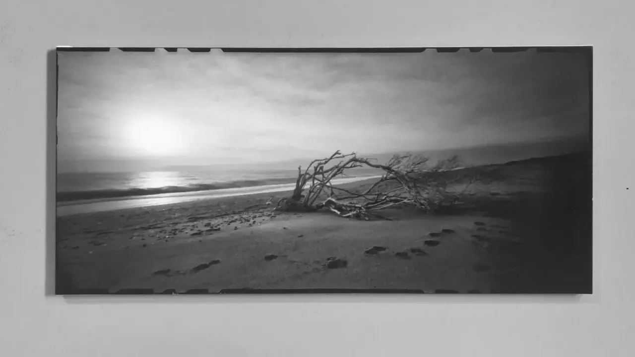 Spiaggia al tramonto con un albero contorto. L'**inkjet significato** è la stampa di questa immagine, catturando la malinconia del paesaggio.