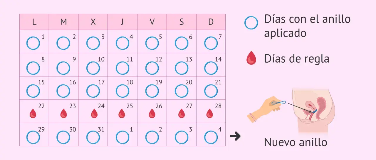 Calendario muestra días con anillo y días de regla. Se puede retirar la regla tomando anticonceptivos.