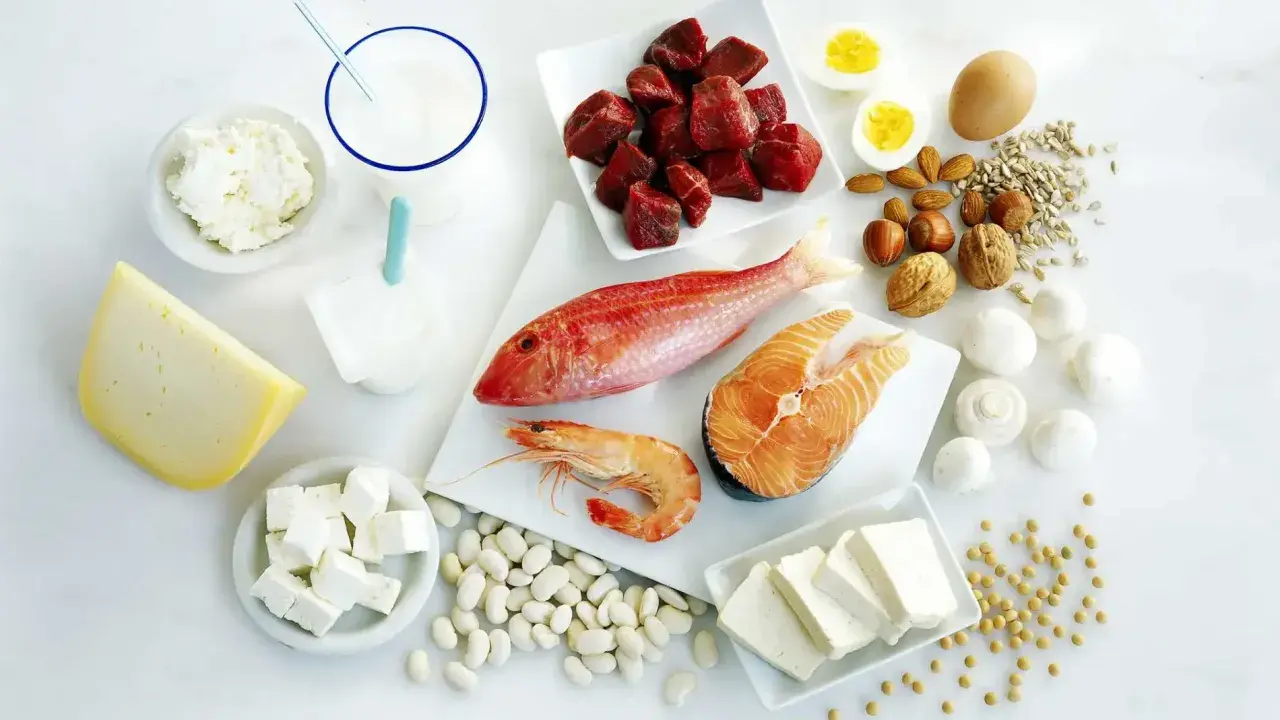 Variedad de alimentos ricos en proteínas: carne, pescado, marisco, huevos, lácteos, legumbres, frutos secos y tofu, fuentes de los 20 aminoácidos esenciales.