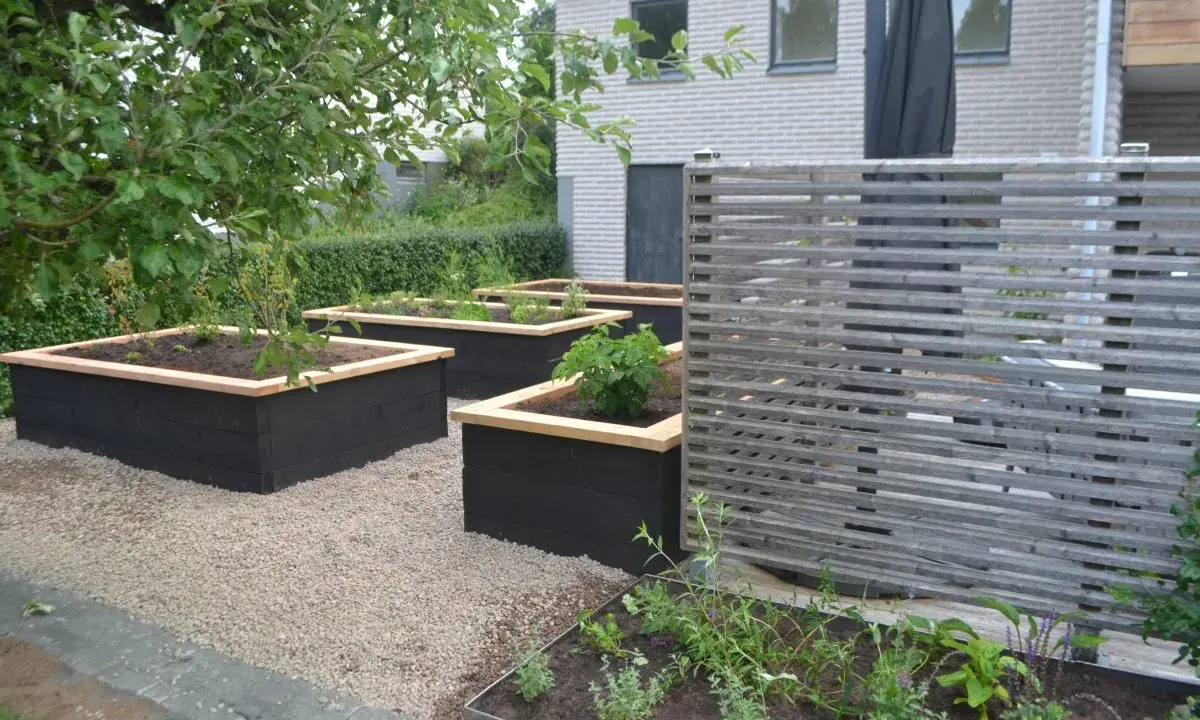 Snygga svarta odlingslådor med träkant ger inspiration för en modern trädgård. Planteringar med grönska och en träskärm.