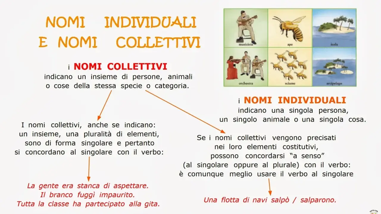 Spiegazione dei nomi collettivi e individuali per la classe terza, con esempi visivi di musicista, ape, isola, orchestra, sciame e arcipelago.