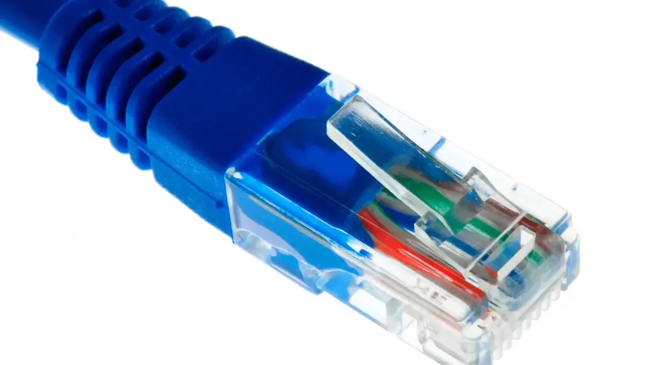 Gros plan sur un connecteur de câble ethernet fibre bleu, montrant les fils colorés à l'intérieur.