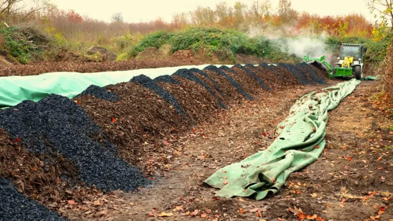 Reihen von Komposthaufen, die für Biomasse Energie vorbereitet werden. Ein Radlader bearbeitet das Material, während Dampf aufsteigt.