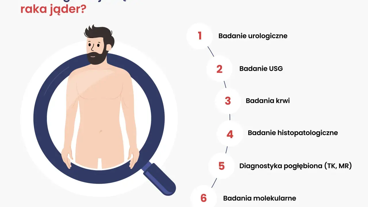 Ilustracja przedstawia schemat diagnozowania raka jąder. Wymienione badania to: urologiczne, USG, krwi, histopatologiczne, pogłębiona diagnostyka (TK, MR) i molekularne.