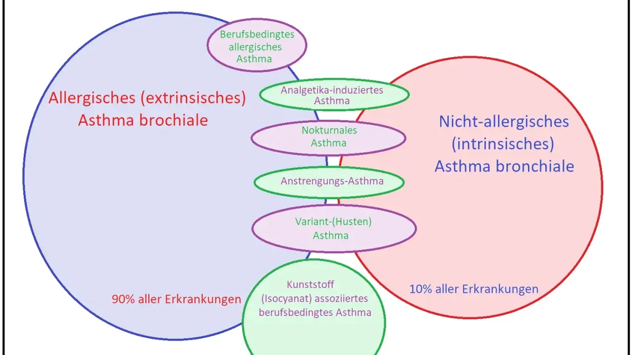 Schema zeigt extrinsisches Asthma, das 90% der Fälle ausmacht, mit Unterformen wie berufsbedingtem allergischem Asthma.