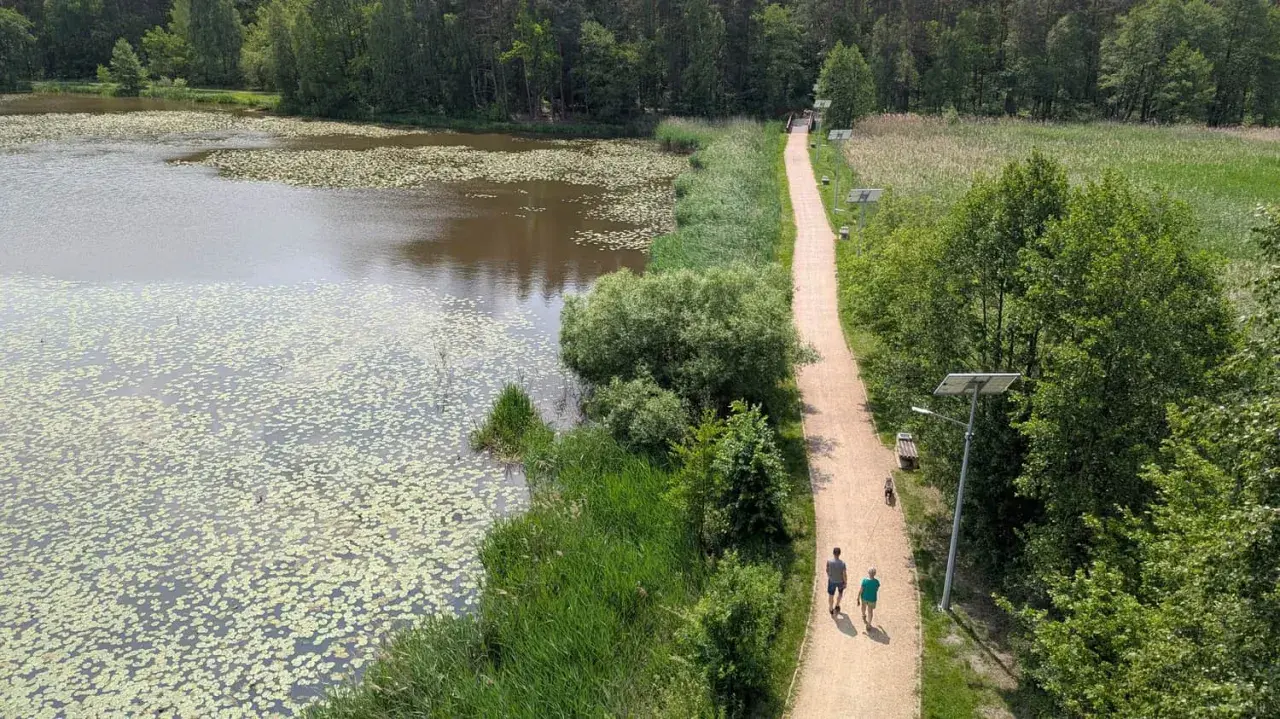 Spacer po malowniczej ścieżce nad jeziorem z liliami wodnymi. Idealne fajne miejsca niedaleko Częstochowy na relaks.