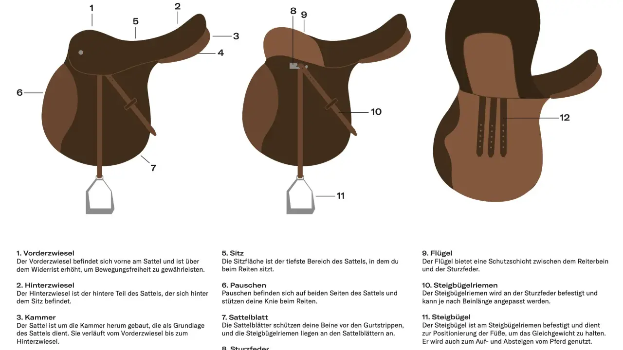 Illustration zeigt den Aufbau eines Sattels mit nummerierten Teilen. Der Sattel ist für das Pferd gedacht.