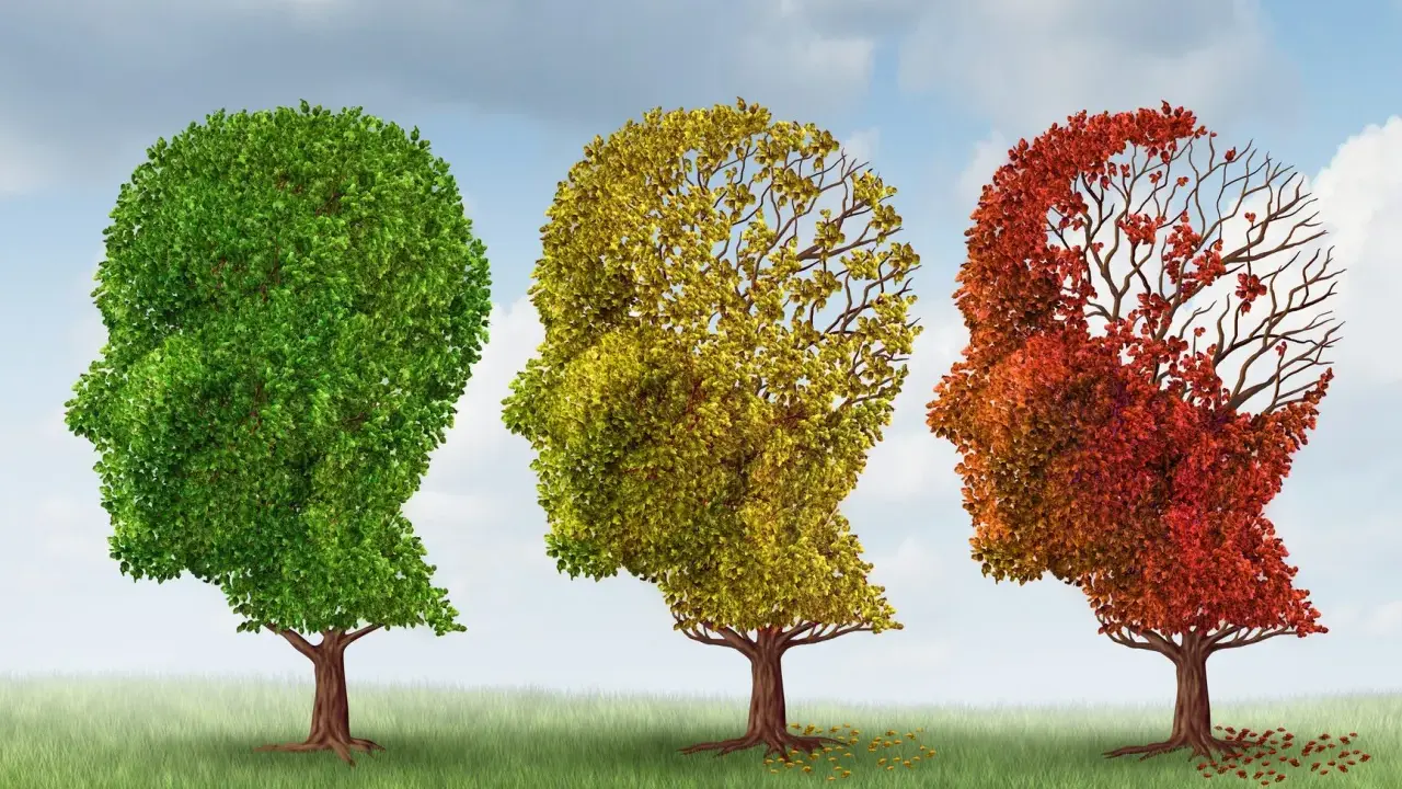 Tre alberi a forma di testa umana, dal verde rigoglioso al rosso spoglio, simboleggiano il declino cognitivo.