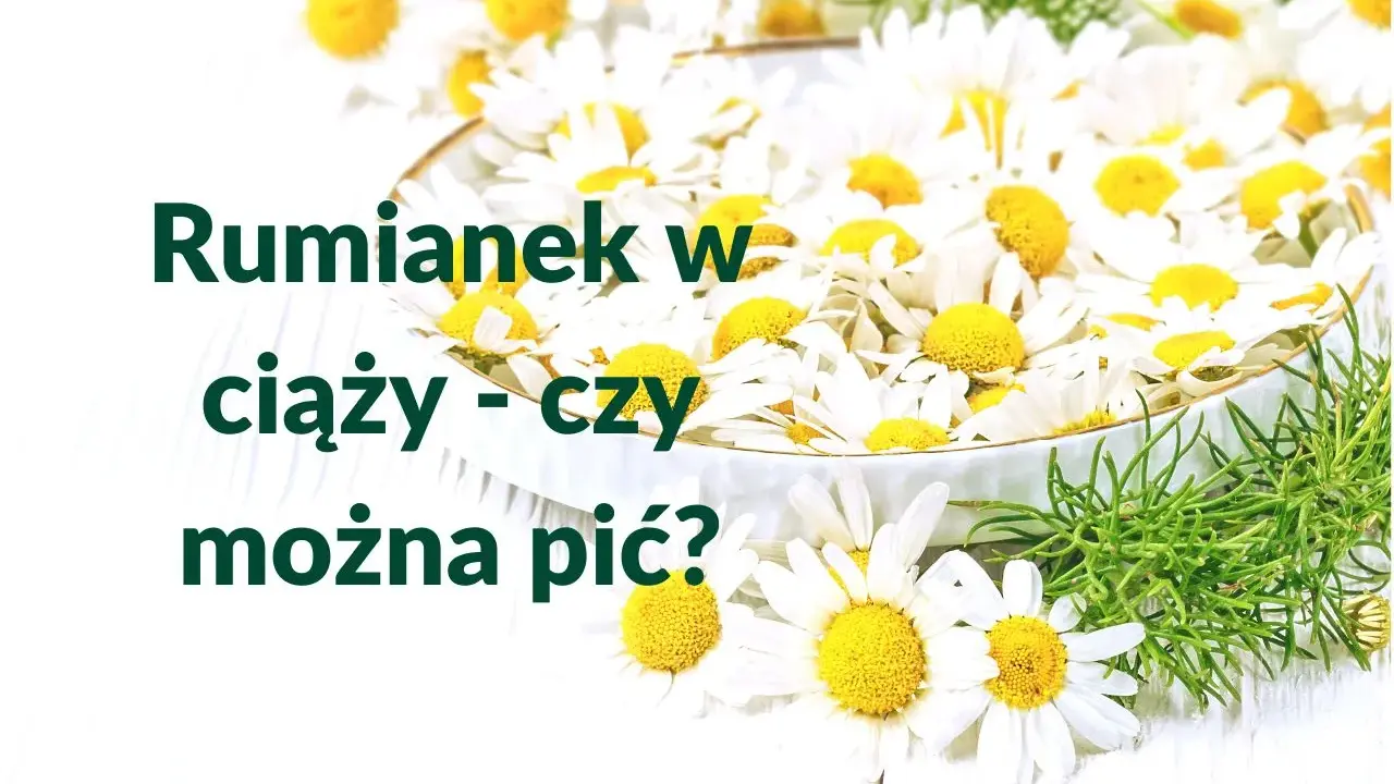 Rumianek w ciąży - czy można pić? Wiele kobiet zastanawia się nad tym, pijąc ten delikatny napar.