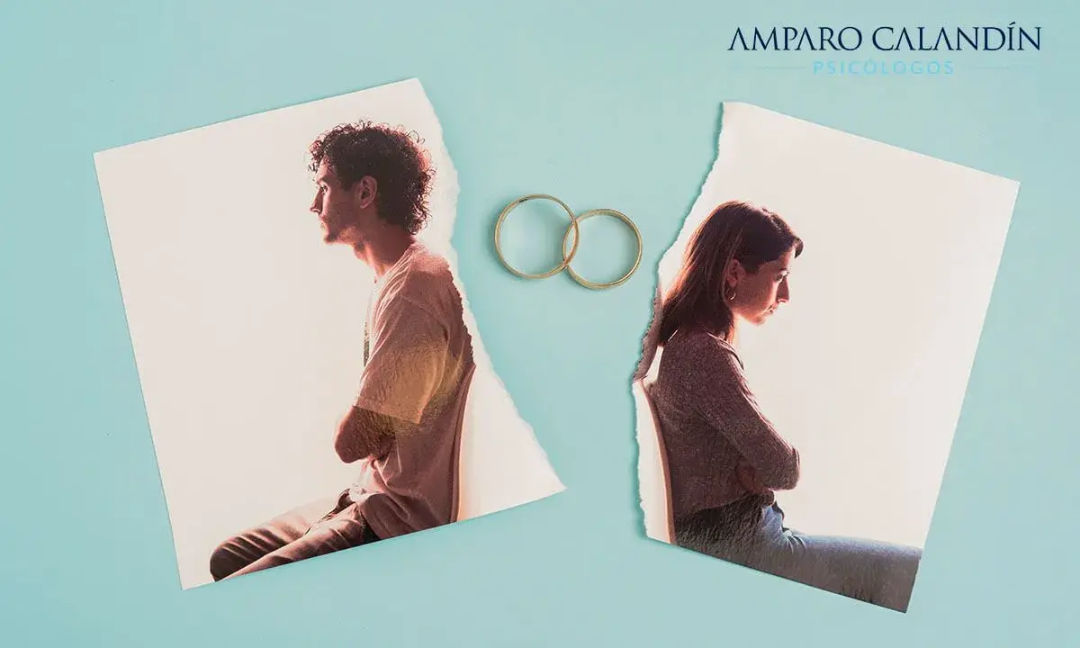 Dos fotos rasgadas de una pareja, separadas por dos anillos de boda, simbolizan un matrimonio infeliz.