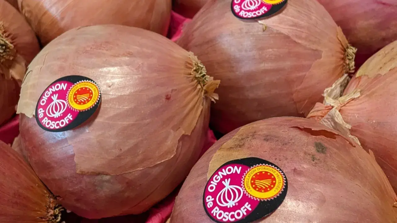Gros plans sur des oignons de Roscoff, parfaits pour savoir si peut on congeler des oignons crus. Ils sont prêts à être cuisinés ou conservés.