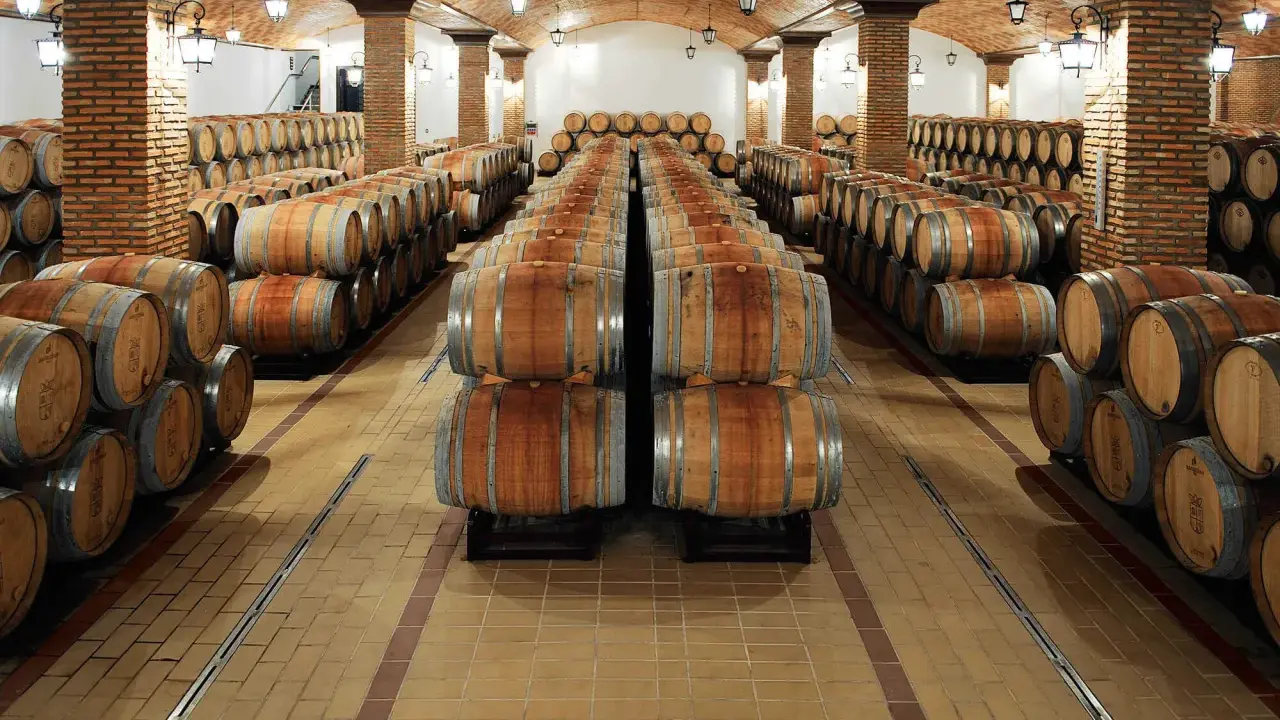 Bodega con hileras de barricas de roble sobre suelos de baldosas, creando un ambiente perfecto para la crianza de vinos.