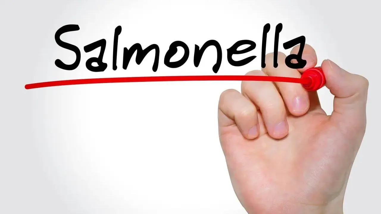 Objawy salmonelli u dziecka: Kiedy alarm? Poradnik dla rodziców
