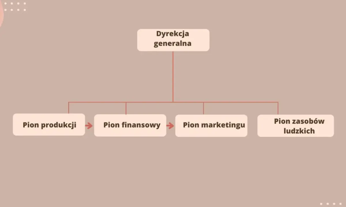 Schemat przedstawia płaską strukturę organizacyjną: Dyrekcja generalna nadzoruje piony: produkcji, finansowy, marketingu i zasobów ludzkich.