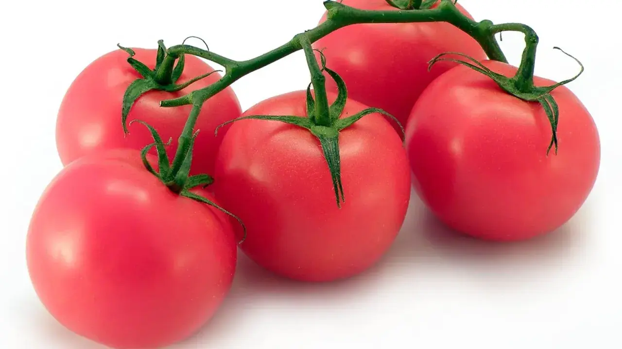 Pięć soczystych pomidorów malinowych na gałązce. Niska zawartość kcal sprawia, że to idealna przekąska.