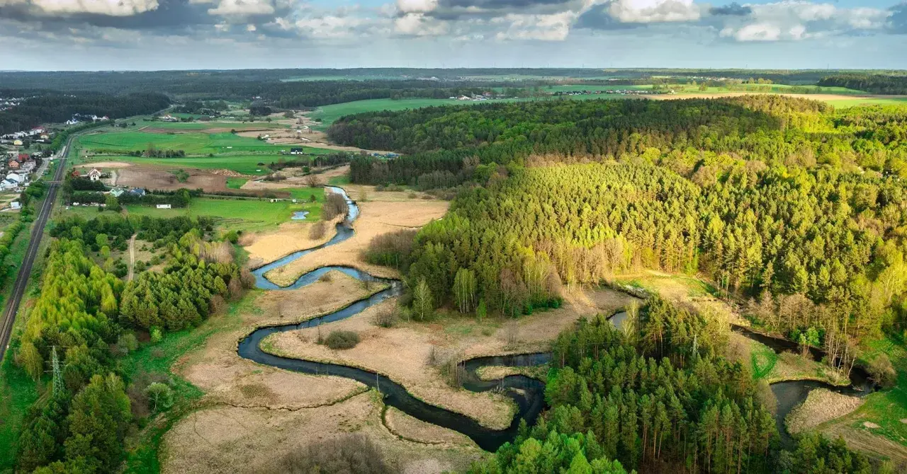 Malowniczy krajobraz z krętą rzeką, lasami i polami, ukazujący piękno parków krajobrazowych w Polsce.