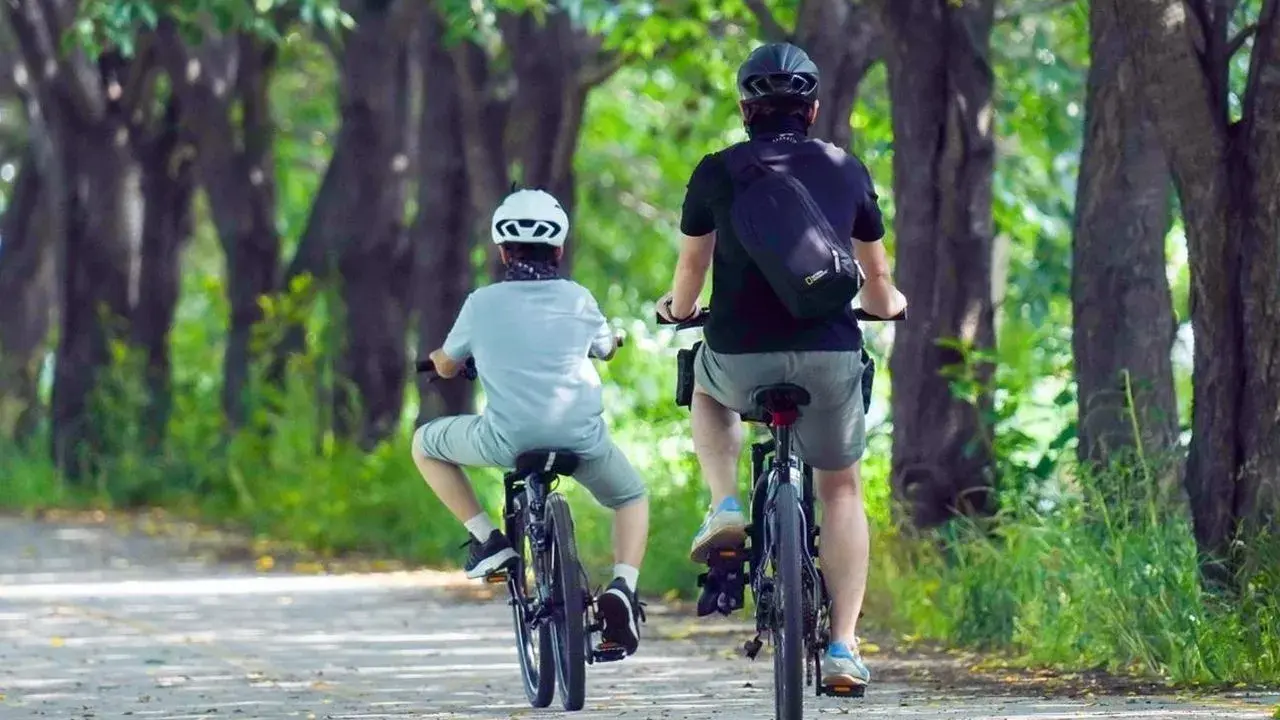 Dwie osoby na rowerach jadą alejką wśród drzew. Idealne miejsce na odkrywanie tras rowerowych Rzeszów.