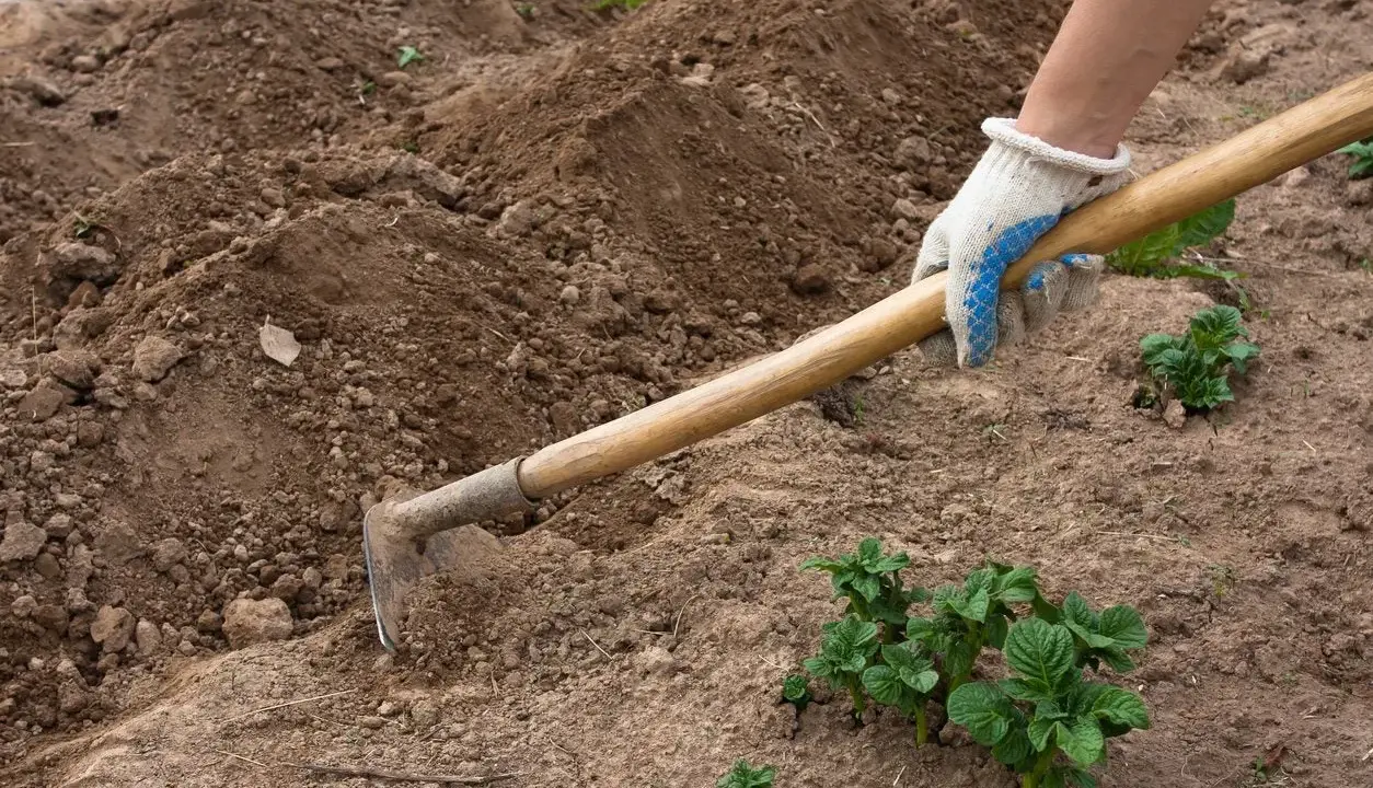 Mano enguantada usa una azada para trabajar la tierra, mostrando varios tipos de azadas para cultivar.