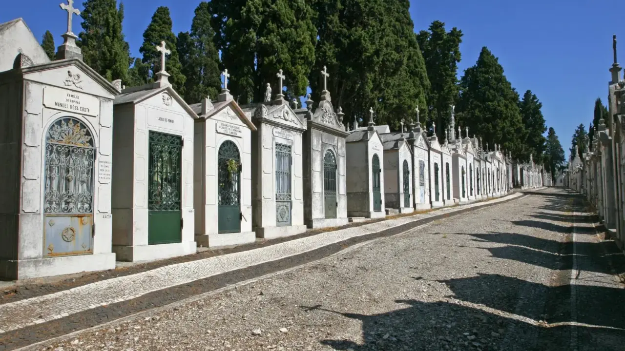 Reihe von Mausoleen auf einem Friedhof in Portugal, mit Zypressen im Hintergrund und einem steinigen Weg.