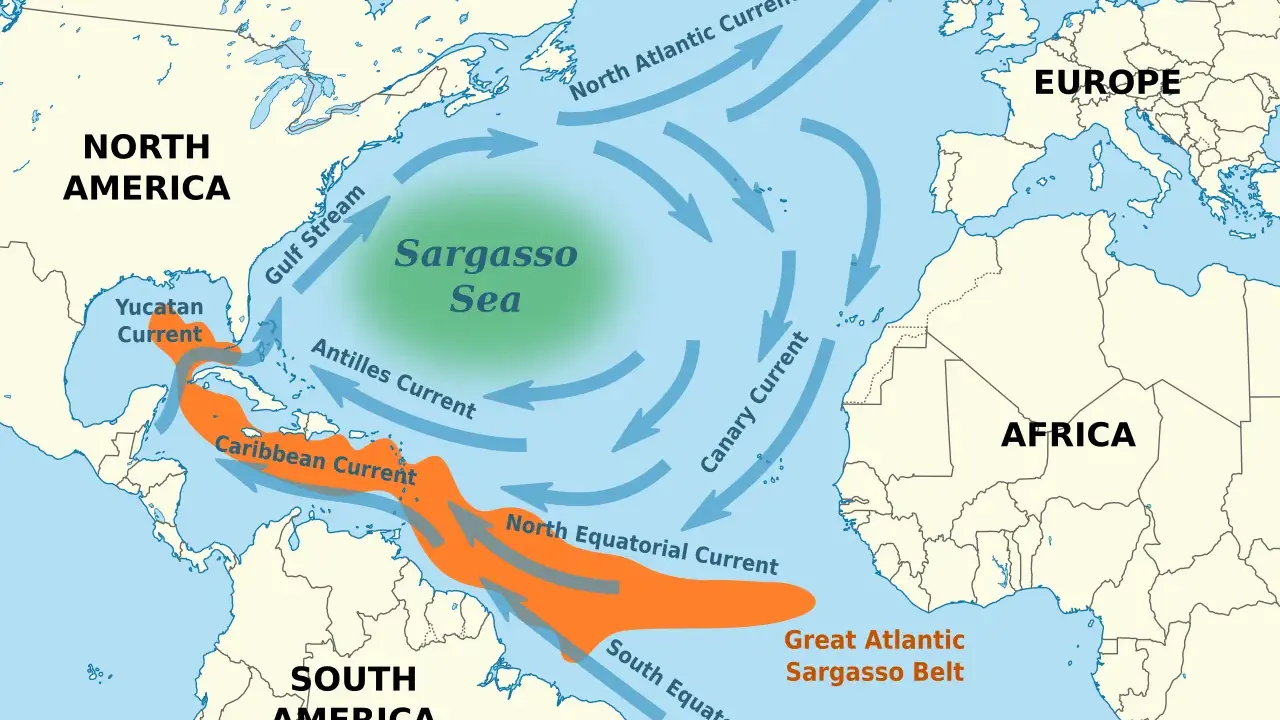 Mapa prądów oceanicznych Atlantyku, z zaznaczonym zielonym obszarem Morza Sargassowego i pomarańczowym Pasem Sargassowym.