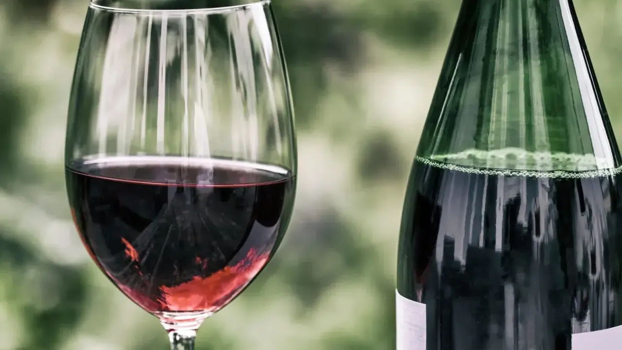 Ein Glas mit tiefrotem Zweigelt Rotwein steht neben einer grünen Flasche. Der Wein schimmert im Glas.