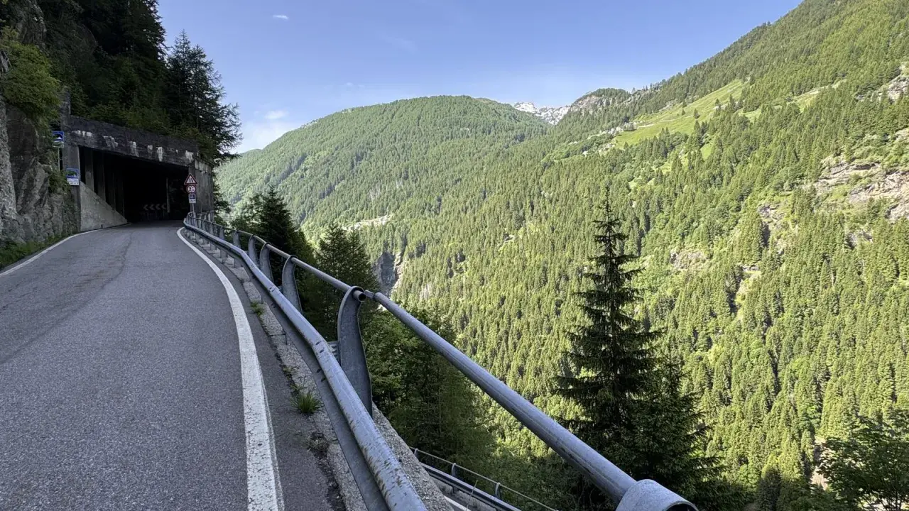 Strada tortuosa che porta al Passo dello Spluga, con un tunnel in primo piano e montagne boscose sullo sfondo.