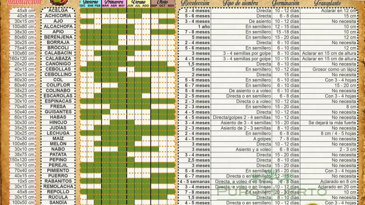 Calendario anual de siembra con información sobre recolección, tipo de siembra, germinación y trasplante para diversos cultivos.