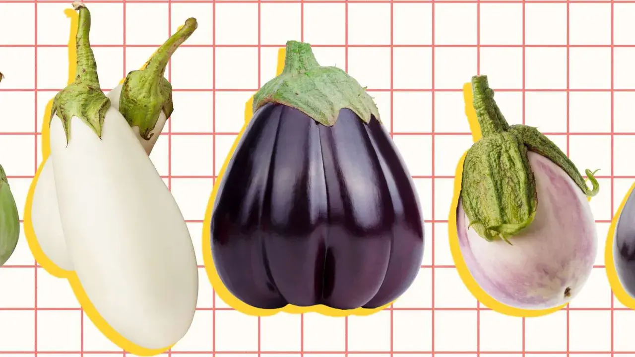 A colorful display of various types of eggplant, from white to deep purple, arranged on a grid background.