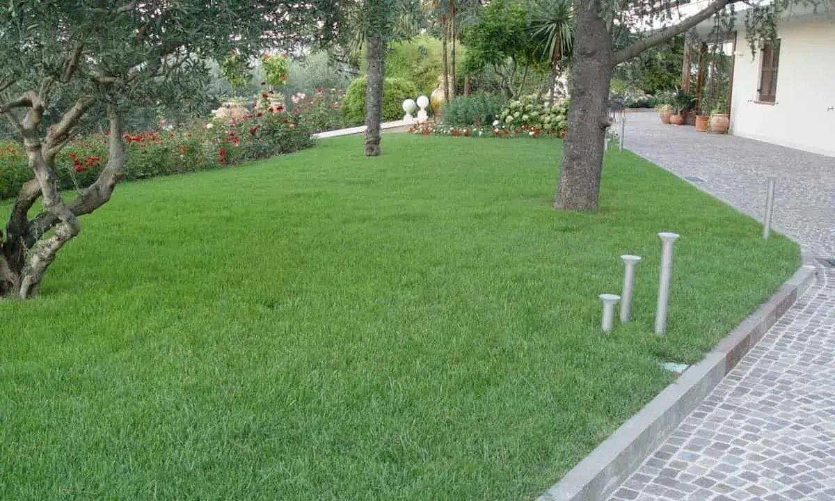 Un césped verde y frondoso, resultado de un perfecto **plantar césped**, rodea árboles y flores en un jardín cuidado.