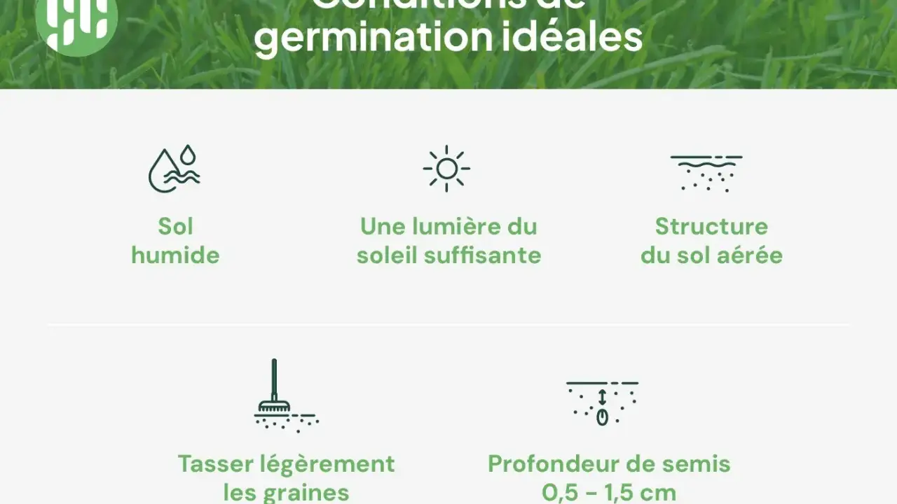 Conditions idéales pour quand planter du gazon : sol humide, soleil, sol aéré, graines tassées à 0,5-1,5 cm.