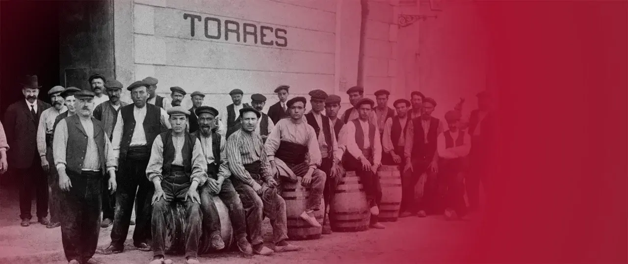 Trabajadores de Torres, donde se elabora el vino Sangre de Toro.