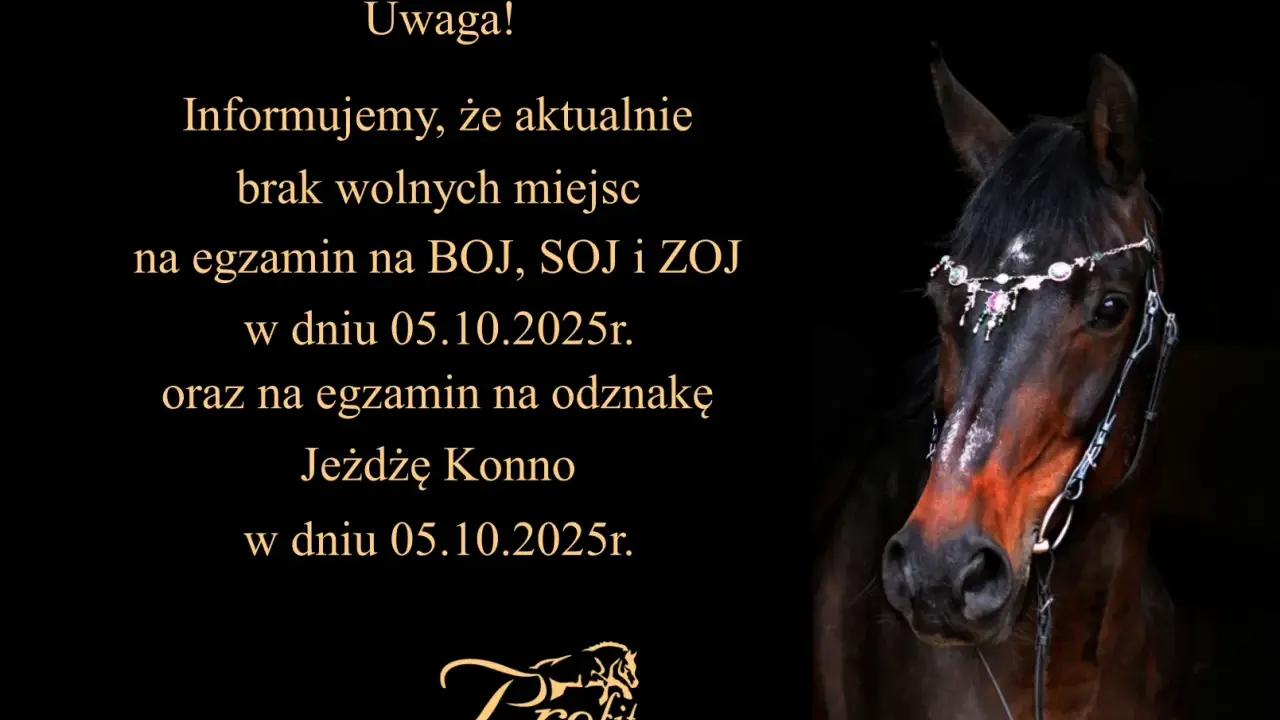 Twój przewodnik: Odznaka "Jeżdżę Konno" PZJ zdaj za 1 razem!