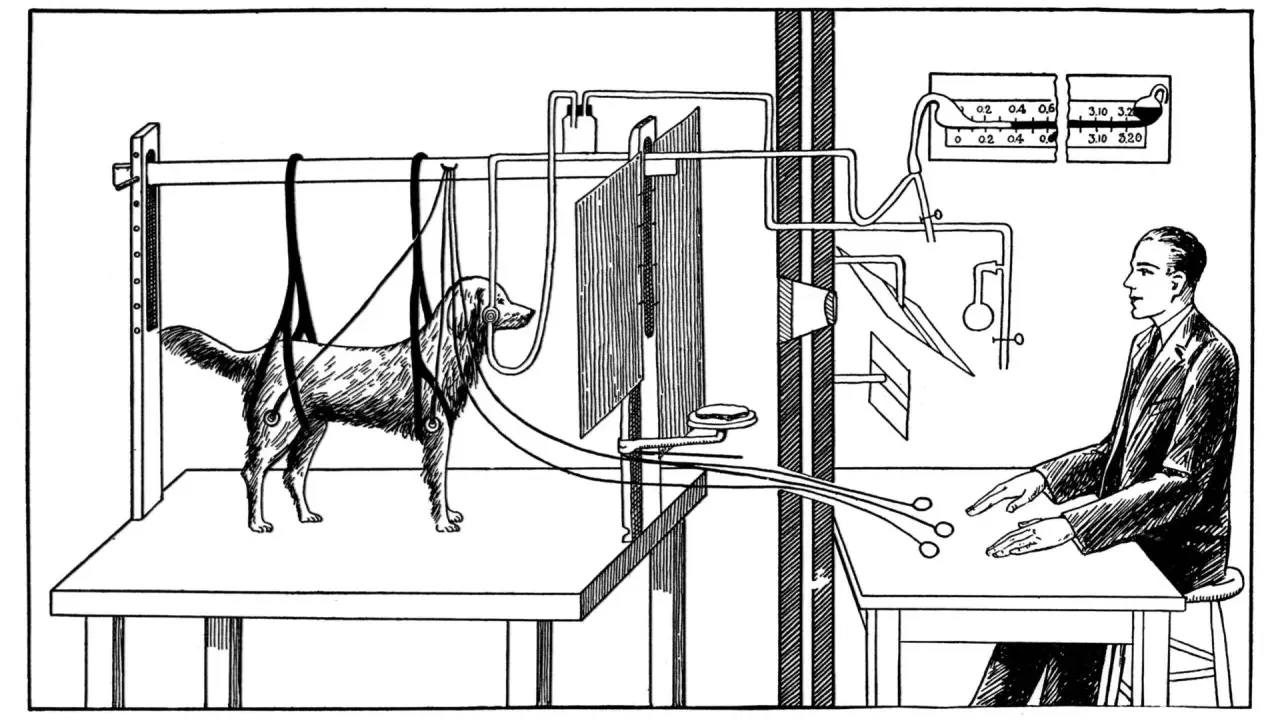 Illustration d'un chien de Pavlov suspendu, relié à des appareils, observant un homme en blouse qui manipule des commandes.