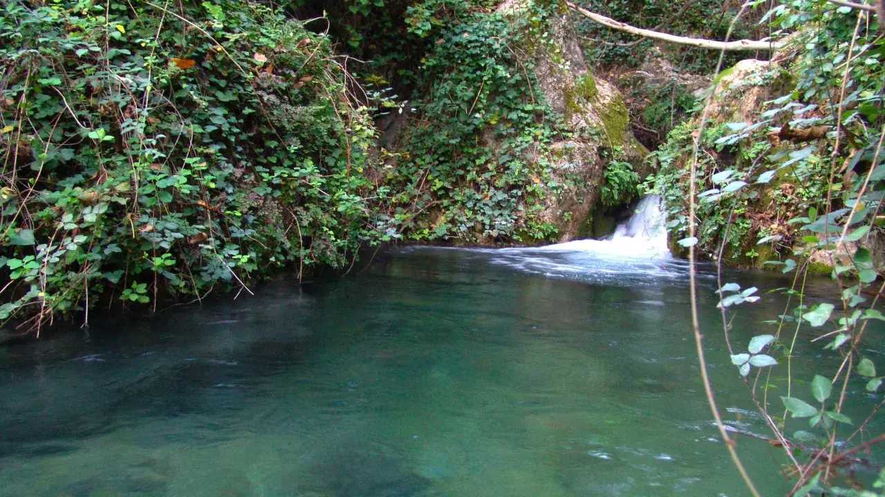 Agua cristalina en una **piscina natural** de Letur, rodeada de vegetación exuberante y rocas cubiertas de musgo.