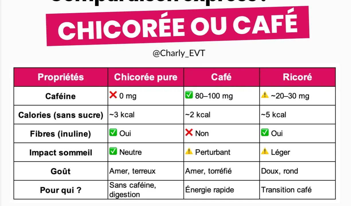 Tableau comparatif : la chicorée pure, sans caféine, est riche en fibres (inuline), idéale pour la digestion. Le café et le ricoré en contiennent aussi.