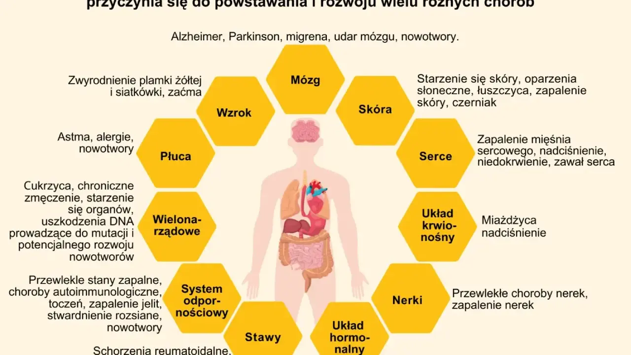 Stres oksydacyjny i wolne rodniki wpływają na mózg, wzrok, płuca, skórę, serce, układ krwionośny, nerki, stawy i układ hormonalny, prowadząc do chorób.