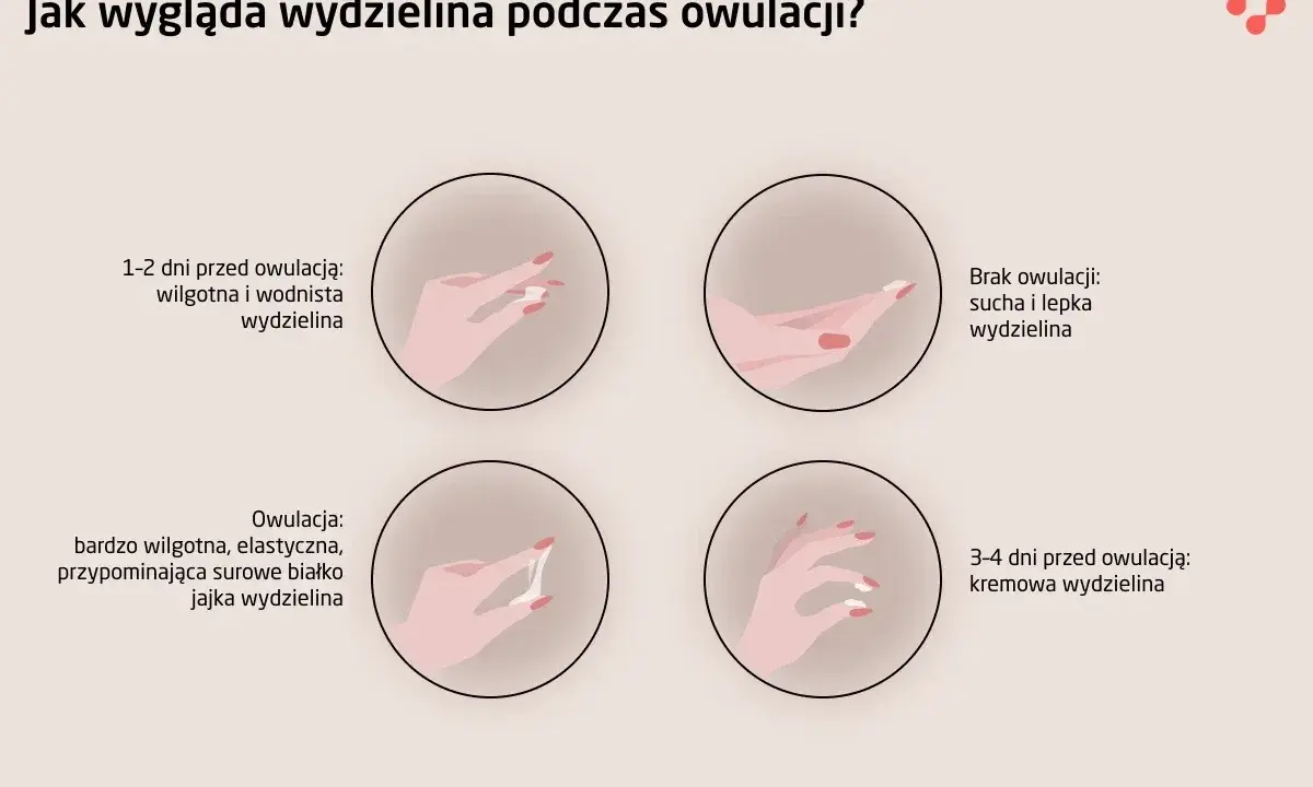 Ilustracja pokazuje zmiany wydzieliny podczas cyklu, wyjaśniając, co to owulacja i jak wygląda wydzielina w jej trakcie: wodnista, kremowa, a w szczycie elastyczna jak białko jaja.
