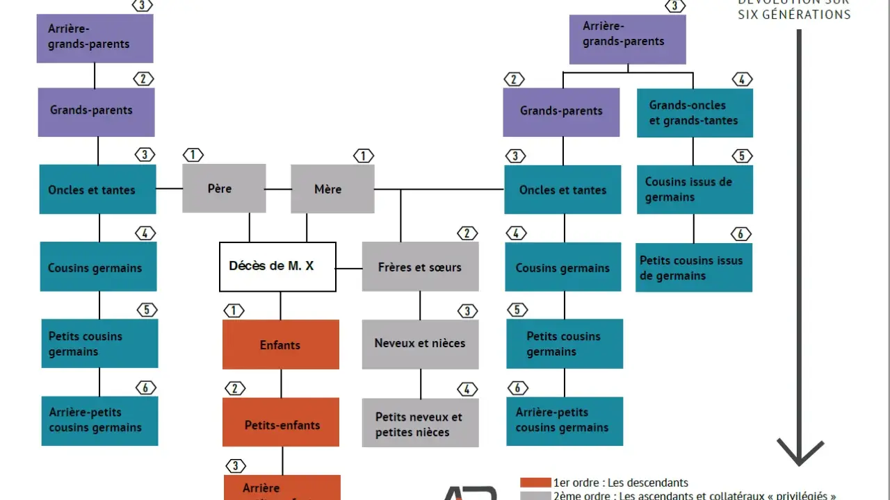 Schéma de dévolution légale : parents, enfants, frères, sœurs, cousins, neveux, etc. pour le service succession.