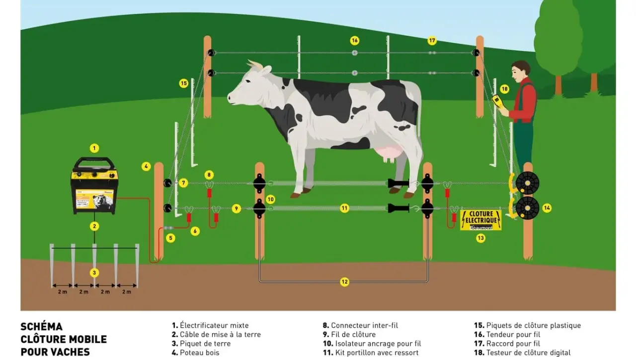 Illustration d'une installation de clôture électrique mobile pour vaches, montrant l'électrificateur, les piquets, les fils et un testeur.