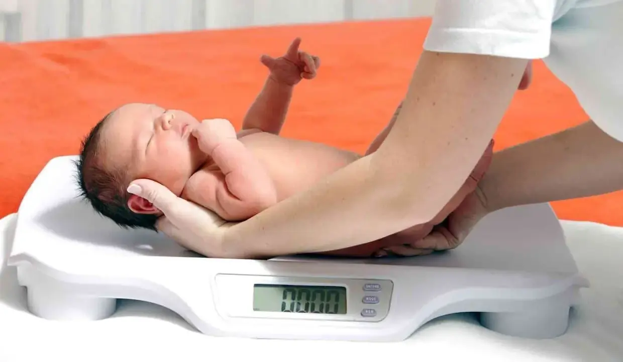 Neonato su bilancia, monitoraggio del calo fisiologico. Le mani sorreggono il piccolo durante la pesata.