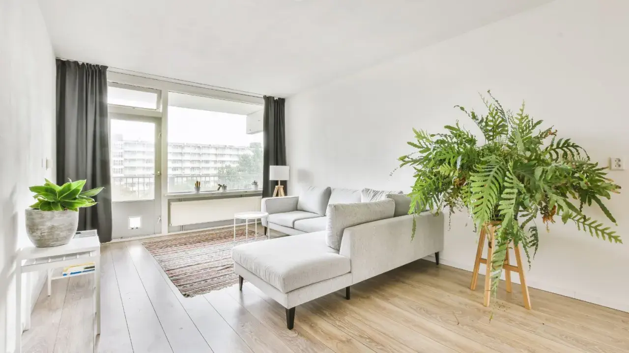 Soggiorno in casa stile nordico con divano grigio, tappeto a righe, piante verdi e grandi finestre.