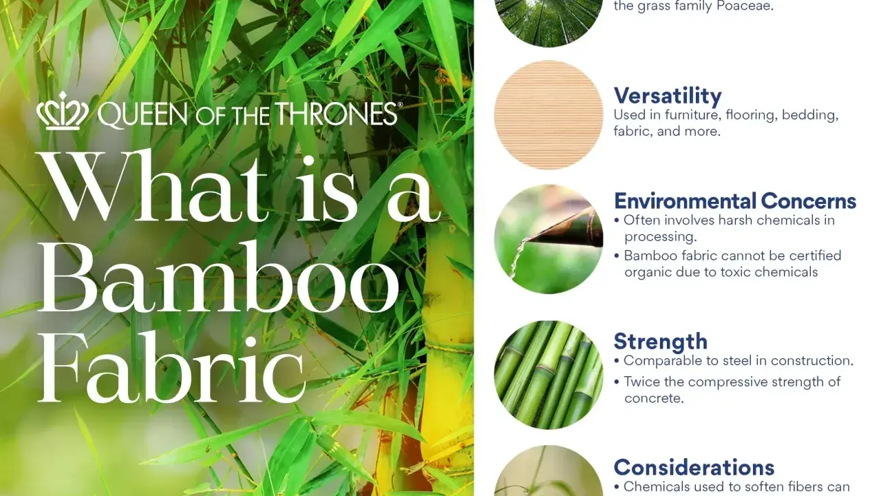 Bamboo fabric: is bamboo a natural fiber? Learn about its origin, versatility, strength, and environmental concerns.
