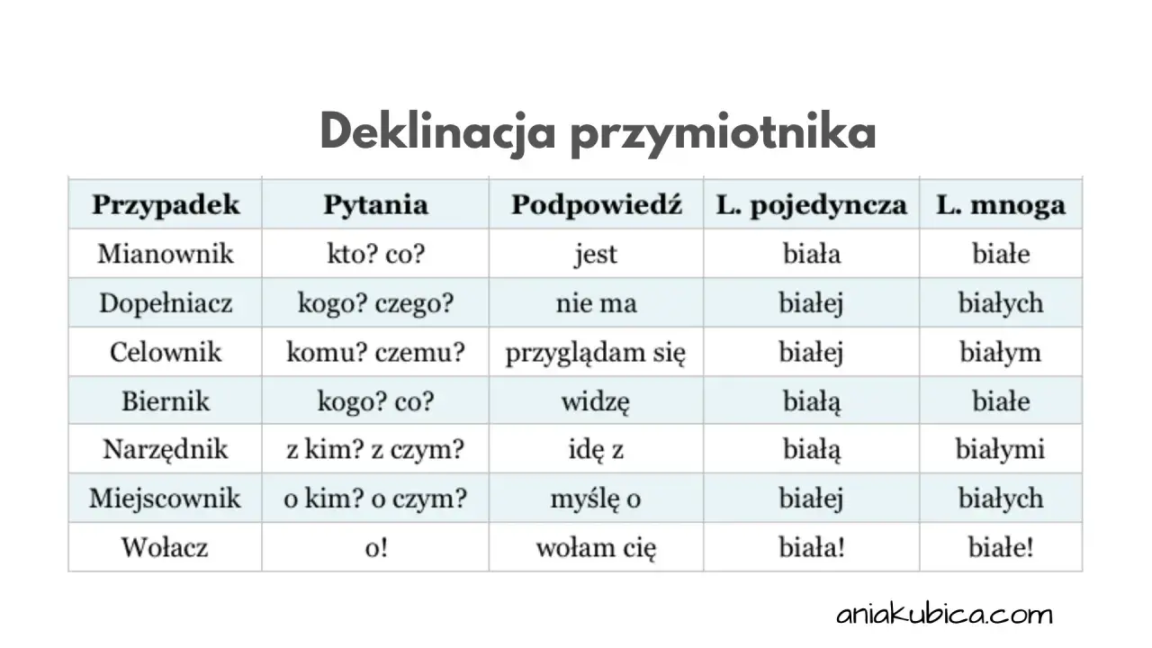 Tabela pokazuje odmianę przymiotnika "biały" przez przypadki, pytania, podpowiedzi i liczby.